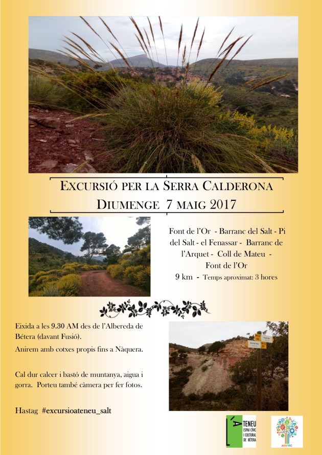 Cartell excursió font salt