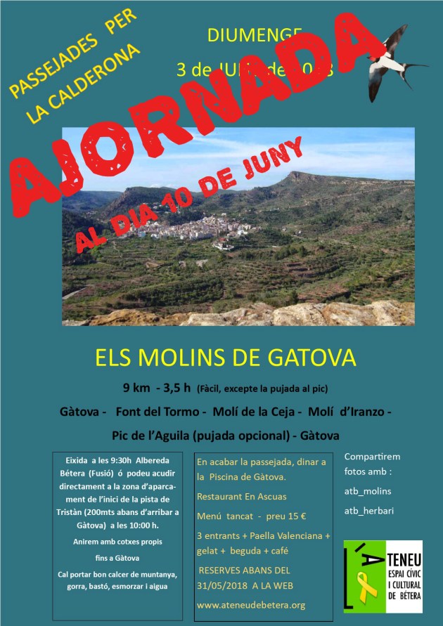 juny 2018 - gatova AJORNADA 1