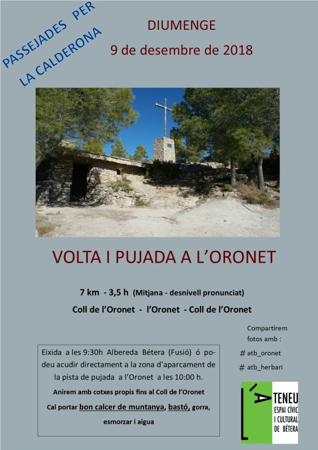 desembre 2018 - oronet (2)