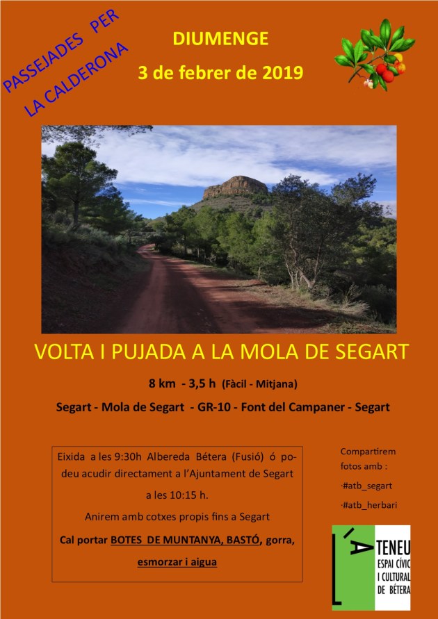 febrer 2019 - mola segart