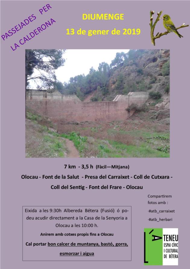 whatsapp image 2019-01-11 at 16.09.04