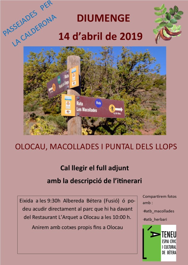 abril 2019 - Olocau Macollades 1